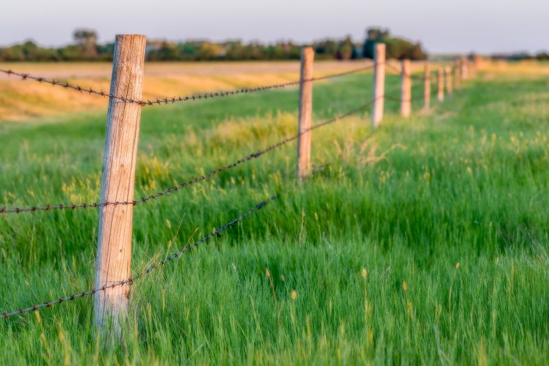 Fence Service Cost Overview — Cost of Fence Service